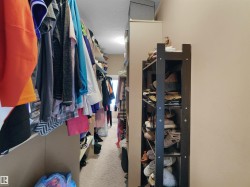 Image quality insufficient for description - 