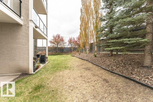 Expansive green space featuring a manicured lawn, established conifers, and slender deciduous trees - 145 10121 80 Avenue, Edmonton, AB - Outdoor