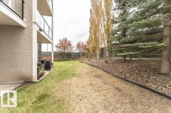 Expansive green space featuring a manicured lawn, established conifers, and slender deciduous trees - 