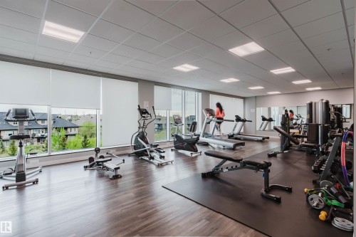 Dedicated fitness center featuring wood-finish flooring, extensive natural light from large windows, and a drop ceiling with integrated lighting - 510 5151 Windermere Boulevard, Edmonton, AB - Indoor Photo Showing Gym Room
