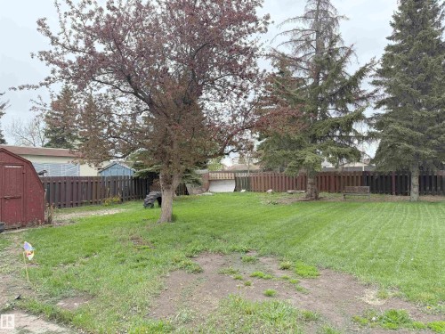 Spacious backyard featuring a large tree with red foliage, mature evergreen trees, a private wood fence, and an outdoor storage shed - 1731 51 Street, Edmonton, AB - Outdoor With Backyard