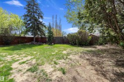 Expansive backyard featuring a wood fence perimeter and mature trees - 