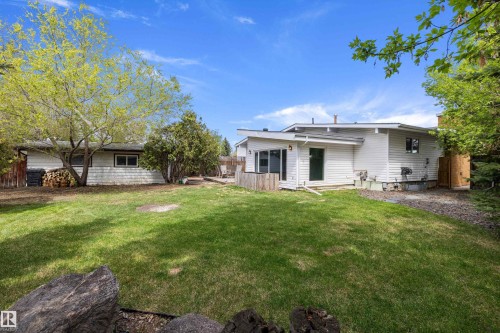Expansive green lawn with mature trees and a rear deck - 11525 37A Avenue Nw, Edmonton, AB - Outdoor