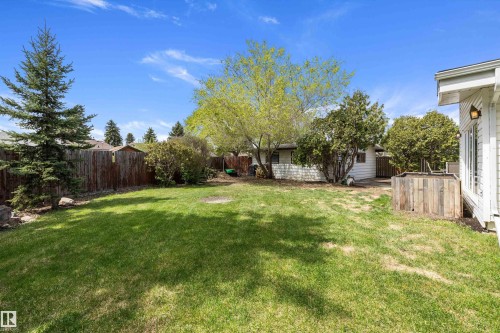 Expansive grassy yard with mature trees, established shrubs, a wood privacy fence, and an exterior wall featuring horizontal siding and an outdoor light fixture - 11525 37A Avenue Nw, Edmonton, AB - Outdoor With Backyard