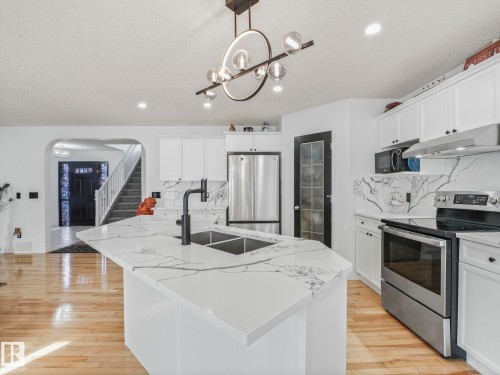 20115 46 Avenue, Edmonton, AB - Indoor Photo Showing Kitchen With Double Sink With Upgraded Kitchen