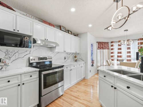 20115 46 Avenue, Edmonton, AB - Indoor Photo Showing Kitchen With Double Sink