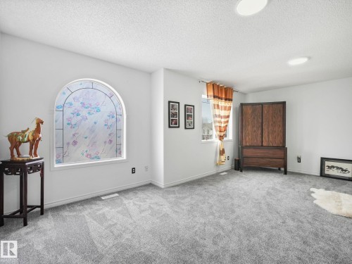 20115 46 Avenue, Edmonton, AB - Indoor Photo Showing Other Room