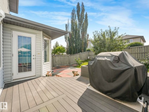 20115 46 Avenue, Edmonton, AB - Outdoor With Deck Patio Veranda With Exterior