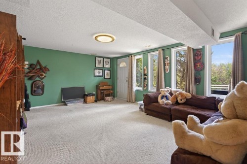 Large basement windows add lots of light to the basement! This room opens to grade level on north side of house. - 49 52257 Rge Road 231, Rural Strathcona County, AB 