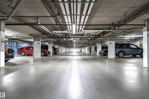 225 503 Albany Way, Edmonton, AB - Indoor Photo Showing Garage