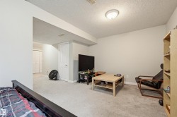 Carpeted room with neutral wall tones and a white ceiling - 
