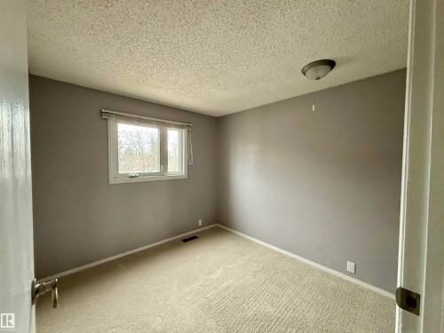 18425 95A Avenue, Edmonton, AB - Indoor Photo Showing Other Room