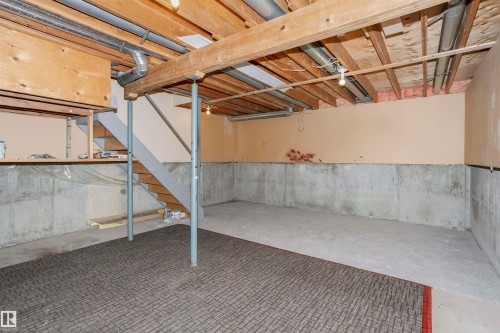 18425 95A Avenue, Edmonton, AB - Indoor Photo Showing Basement