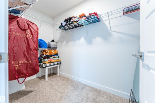 231 Orchards Boulevard, Edmonton, AB - Indoor With Storage