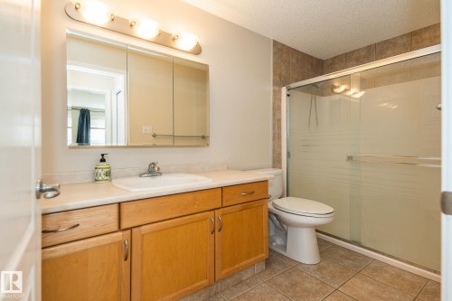 210 2420 108 Street, Edmonton, AB - Indoor Photo Showing Bathroom
