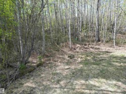 9&10 59316 RR54  Rural Barrhead County, AB T7N 1N3