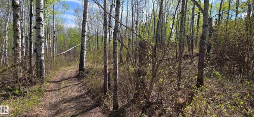 9&10 59316 Rr54, Rural Barrhead County, AB 