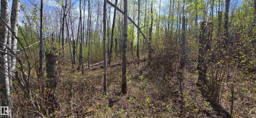 9&10 59316 Rr54, Rural Barrhead County, AB 