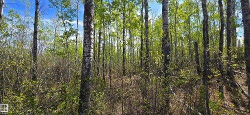 9&10 59316 Rr54, Rural Barrhead County, AB 