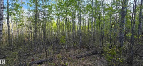 9&10 59316 Rr54, Rural Barrhead County, AB 