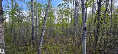 9&10 59316 Rr54, Rural Barrhead County, AB 