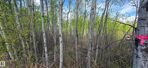 9&10 59316 Rr54, Rural Barrhead County, AB 
