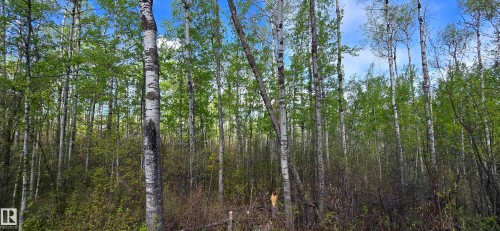 9&10 59316 Rr54, Rural Barrhead County, AB 
