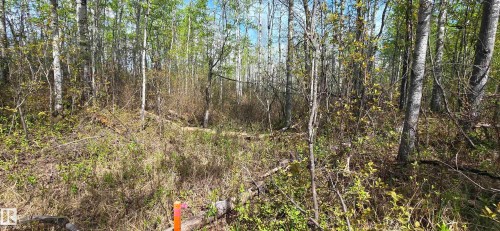 9&10 59316 Rr54, Rural Barrhead County, AB 