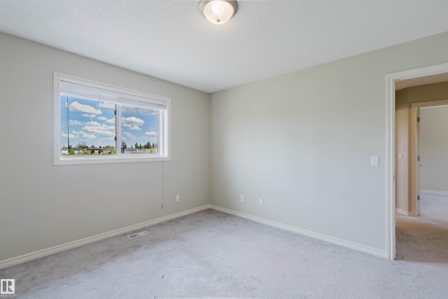 Neutral-toned room featuring light gray walls, plush gray carpeting, and white trim - 3534 Mclean Crescent, Edmonton, AB - Indoor Photo Showing Other Room