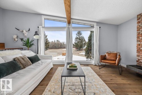 11427 35 Avenue, Edmonton, AB - Indoor Photo Showing Living Room