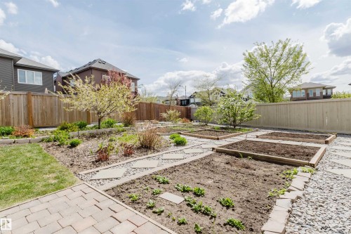 Landscaped backyard featuring multiple raised garden beds, mature trees, and a wooden fence - 3571 Keswick Boulevard, Edmonton, AB - Outdoor