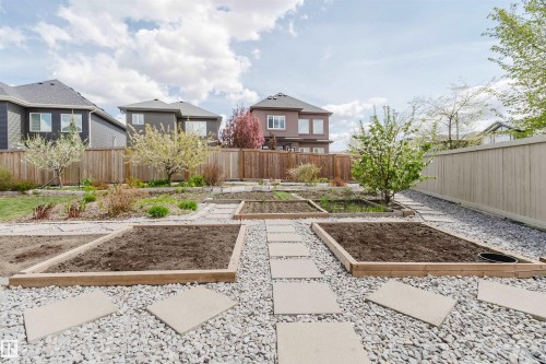 Rear yard featuring multiple raised garden beds, gravel pathways, square stepping stones, and mature trees - 3571 Keswick Boulevard, Edmonton, AB - Outdoor