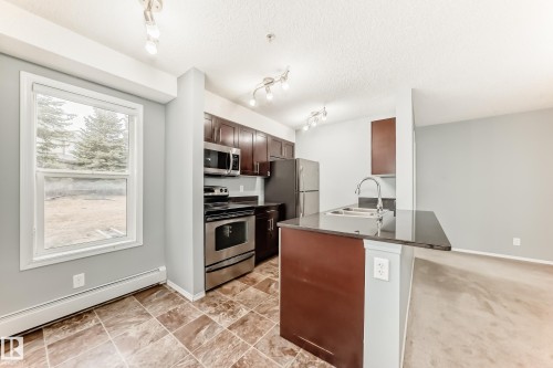 The kitchen features stainless steel appliances, dark wood cabinetry, and a dark countertop - 101 530 Watt Boulevard, Edmonton, AB - Indoor Photo Showing Kitchen With Double Sink