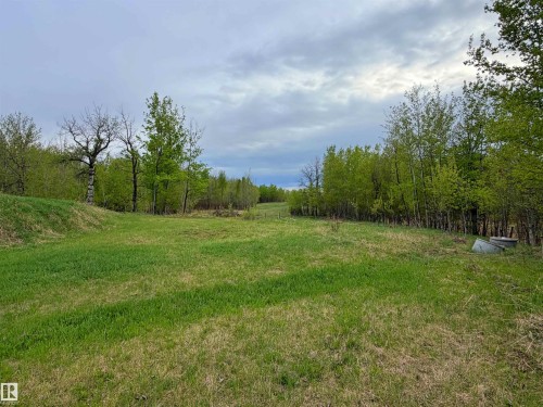 Expansive green land area featuring a gentle slope and surrounding mature trees - 60016 Rr 41, Rural Barrhead County, AB - Outdoor