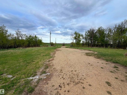 Gravel driveway with expansive green space, bordered by mature trees and natural foliage - 60016 Rr 41, Rural Barrhead County, AB - Outdoor