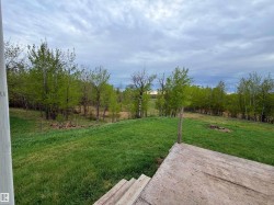 Expansive outdoor deck with natural wood steps and a broad grassy area extending to a line of mature trees - 