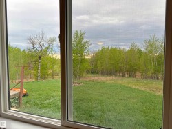 Expansive green yard with mature trees bordering the property - 