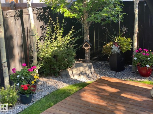 Outdoor space featuring a composite wood deck, gravel landscaping, a dark stained privacy fence, mature trees, and potted flowering plants - 1359 Westerra Drive, Stony Plain, AB - Outdoor