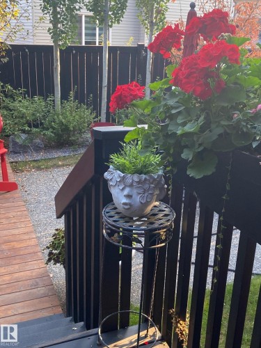 Wooden deck steps with black railings, featuring a black privacy fence, mature trees, and a gravel pathway - 1359 Westerra Drive, Stony Plain, AB - Outdoor
