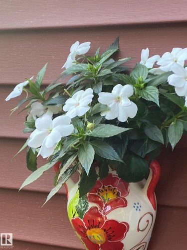 Decorative wall planter with white flowering plants against a horizontal siding exterior - 1359 Westerra Drive, Stony Plain, AB - 