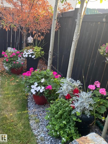 Landscaped garden bed featuring a rock border, mature trees, and vibrant potted plants - 1359 Westerra Drive, Stony Plain, AB - Outdoor