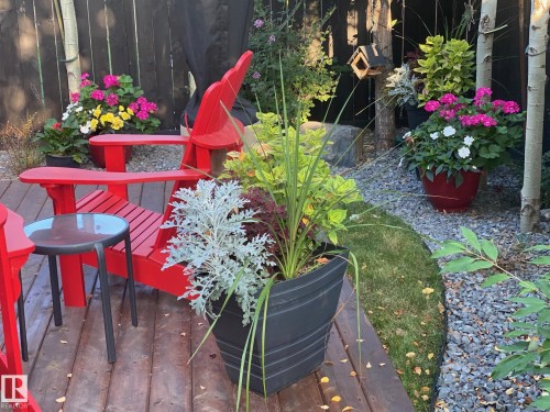Wooden deck featuring a dark stain, surrounded by gravel landscaping - 1359 Westerra Drive, Stony Plain, AB - Outdoor