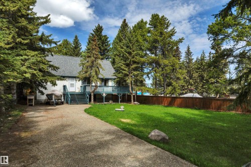 White siding exterior with a dark gray shingle roof, featuring a raised deck with blue railings and stairs, a concrete driveway, a manicured lawn, and mature evergreen trees - 305 3 St, Rural Wetaskiwin County, AB - Outdoor