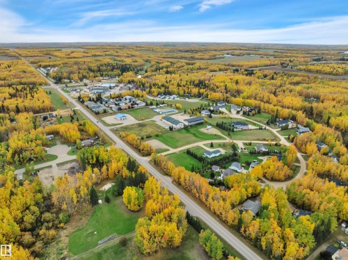 Aerial landscape featuring an expansive forest with vibrant yellow and green foliage, winding roads, and residential properties - 305 3 St, Rural Wetaskiwin County, AB - Outdoor With View