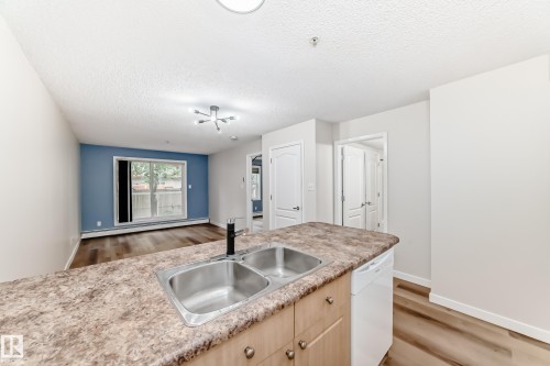 108 12838 65 Street, Edmonton, AB - Indoor Photo Showing Kitchen With Double Sink