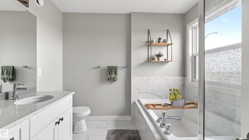 1723 200 Street Nw, Edmonton, AB - Indoor Photo Showing Bathroom