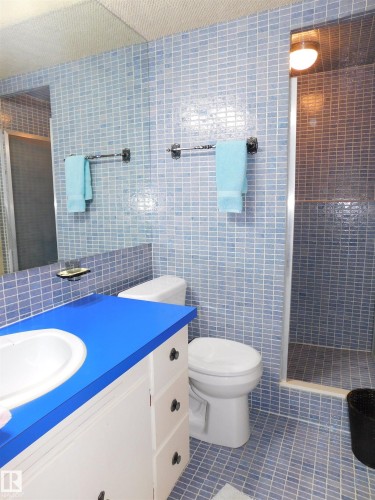 10908 30 Street, Edmonton, AB - Indoor Photo Showing Bathroom