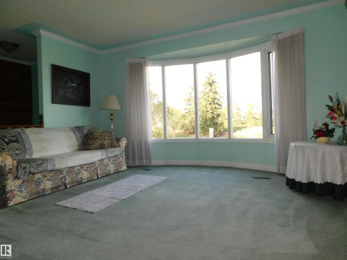 10908 30 Street, Edmonton, AB - Indoor Photo Showing Living Room
