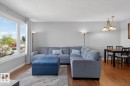 Living Room featuring large North Facing Windows, and ample space for cozy furniture and movie nights. - 18655 61 Avenue, Edmonton, AB  - Indoor Photo Showing Living Room 