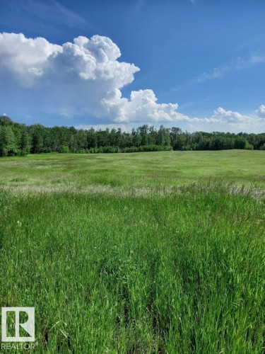 Expansive green field bordered by a dense tree line under a clear blue sky with prominent white clouds - 50206 Range Road 215, Rural Leduc County, AB 